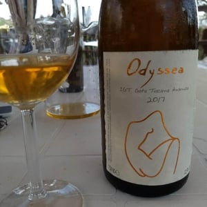Odyssea 2017