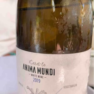 El Boet Vell - Anima Mundi - agusti-torello-roca