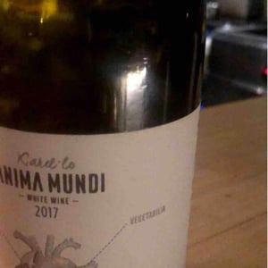 El Boet Vell - Anima Mundi - Agustí Torelló Roca 