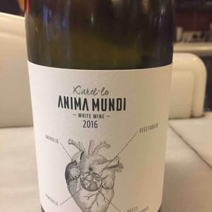 El Boet Vell - Anima Mundi - Agustí Torelló Roca 