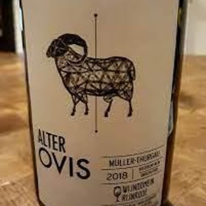 Alter Ovis - Wijndomein Rijnrode - Kevin De Ridder 