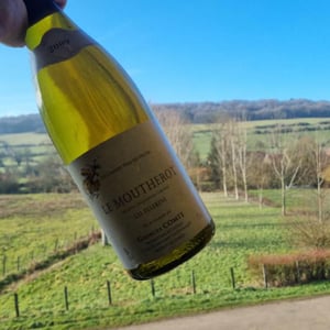 Les Pelerins - Le Moutherot - Georges Comte 