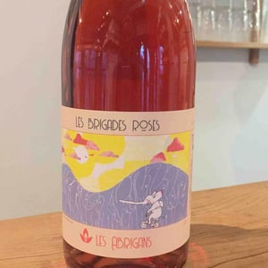 Les Brigades Roses - Les Abrigans - laura-lees-arthur-joly -2021