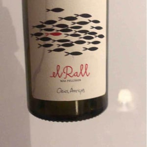 Mas Pellisser - Oriol Artigas - El Rall