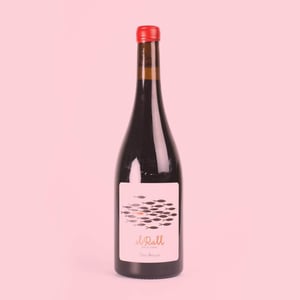 El Rall - Mas Pellisser - oriol-artigas -2019