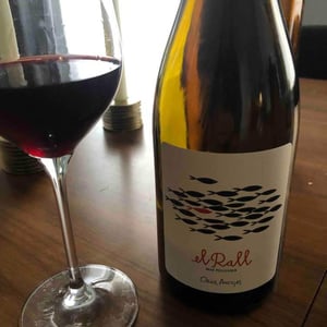 El Rall - Mas Pellisser - oriol-artigas -2019
