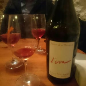 L'Uva Rouge - Domaine de la Tournelle - evelyne-clairet