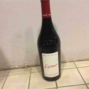 L'Uva Rouge - Domaine de la Tournelle - Evelyne Clairet 