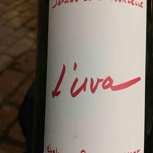 L'Uva Rouge - Domaine de la Tournelle - evelyne-clairet