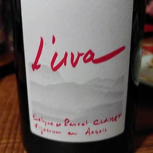 L'Uva Rouge - Domaine de la Tournelle - evelyne-clairet