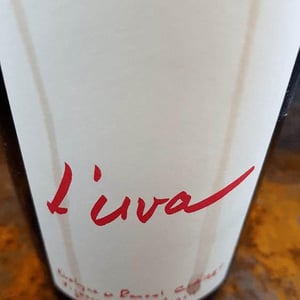 L'Uva Rouge - Domaine de la Tournelle - evelyne-clairet