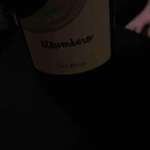 El Rumbero 2018