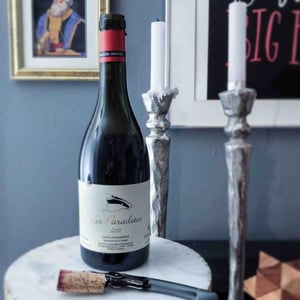 Celler Escoda Sanahuja - Joan Ramón Escoda Martinez - Les Paradetes
