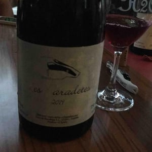 Celler Escoda Sanahuja - Joan Ramón Escoda Martinez - Les Paradetes