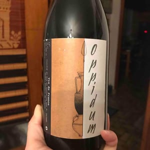 Oppidum Rouge - Delmée Martin - philippe-delmee-aurelien-martin -2018
