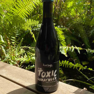 The Toxic Gamay'nger - David Large - celia-rostand-et-david-large
