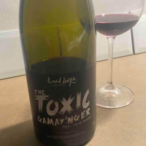 David Large - Célia Rostand et David Large - The Toxic Gamay'nger