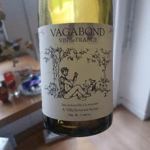 Benoit Camus - Benoit Camus - Le Vagabond
