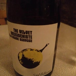 The Velvet Underschiste - La Graine Sauvage - Sybil Baldassarre 