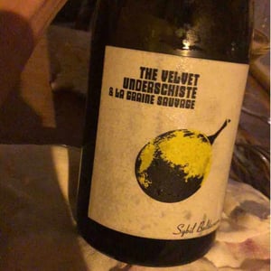 La Graine Sauvage - Sybil Baldassarre - The Velvet Underschiste