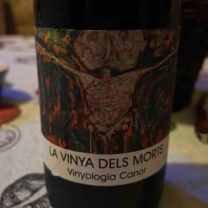 La Vinya Dels Morts 2019 - Vinyologia Canor - Juan Tàrrega