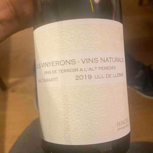 Els Vinyerons / Sin Project - Amós Bañeres Merinero & Alex Ruiz Masachs - Saltamartí (Ull de Llebre, Garnatxa)