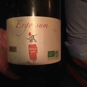 Ergo Sum - Bedouet - bedouet