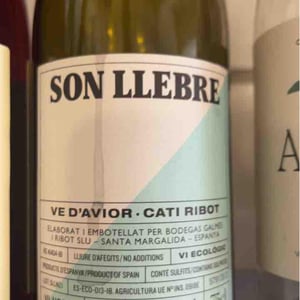 Son llebre negre - Ve d'Avior - cati-ribot -2020