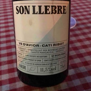 Son llebre negre - Ve d'Avior - Cati Ribot -2020