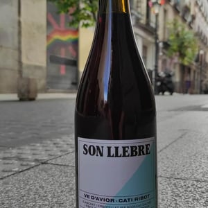 Son llebre negre - Ve d'Avior - cati-ribot -2020