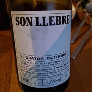 Son llebre negre - Ve d'Avior - Cati Ribot -2020