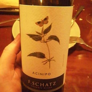 Acinipo