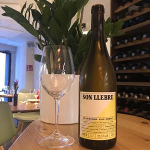 Son llebre blanc - Ve d'Avior - cati-ribot