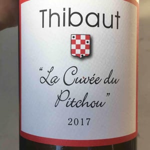 Thibaut "La Cuvée Du Pitchou" - Domaine Plaisance - Penavayre - Louis, Marc et Thibaut Penavayre 
