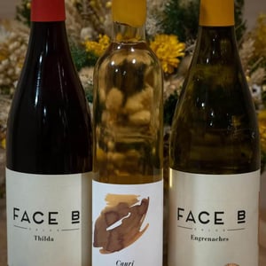Thilda (old label) - Face B - severin-barioz-mathilde-barioz-ceccon