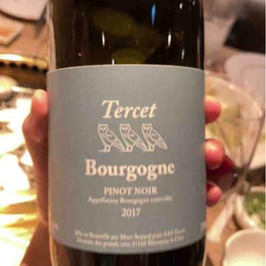 Tercet - Domaine de la Cras - Marc Soyard 