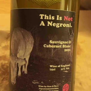 This is not a negroni - Quattro Mustachios - sam-bunker-dave-haynes -2022