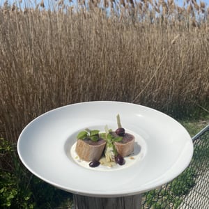 Thon Rouge - Hotel les Arnelles restaurant la Pampa - 792293
