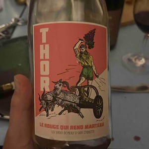 THOR - Le Rouge Qui Rend Marteau - Domaine Meïgoon - saharnaz-ahangi-et-gauthier-ollivier -2021