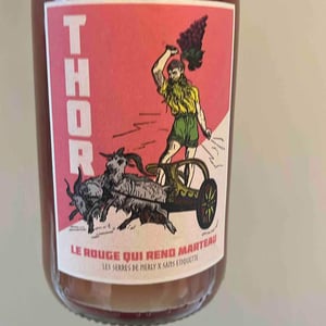 THOR - Le Rouge Qui Rend Marteau - Domaine Meïgoon - Saharnaz Ahangi et Gauthier Ollivier -2021