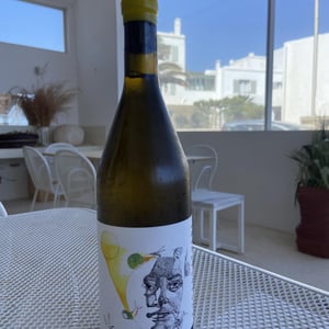 Thrapsathiri - Iliana Malihin Winery - iliana-malihin -2021