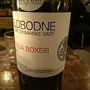 Traja Boxeri 2016