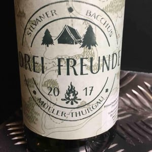 Drei Freunde - 2 Naturkinder - melanie-drese-michael-volker