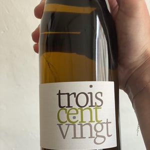 troiscentvingt - Domaine Pion - romain-pion -2021