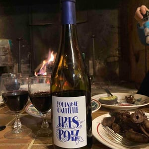 Domaine la Calmette - Maya Sallée & Nicolas Fernandez - Tres Potz