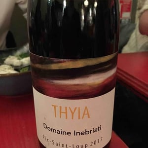 Thyia - Domaine Inebriati - Victor Beau 
