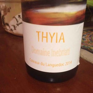 Thyia - Domaine Inebriati - Victor Beau 