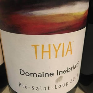 Thyia - Domaine Inebriati - Victor Beau 