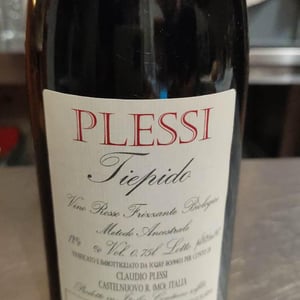 Tiepido - Plessi - claudio-plessi -2017