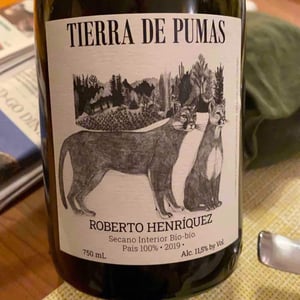 Tierra De Pumas - Roberto Henriquez - roberto-henriquez